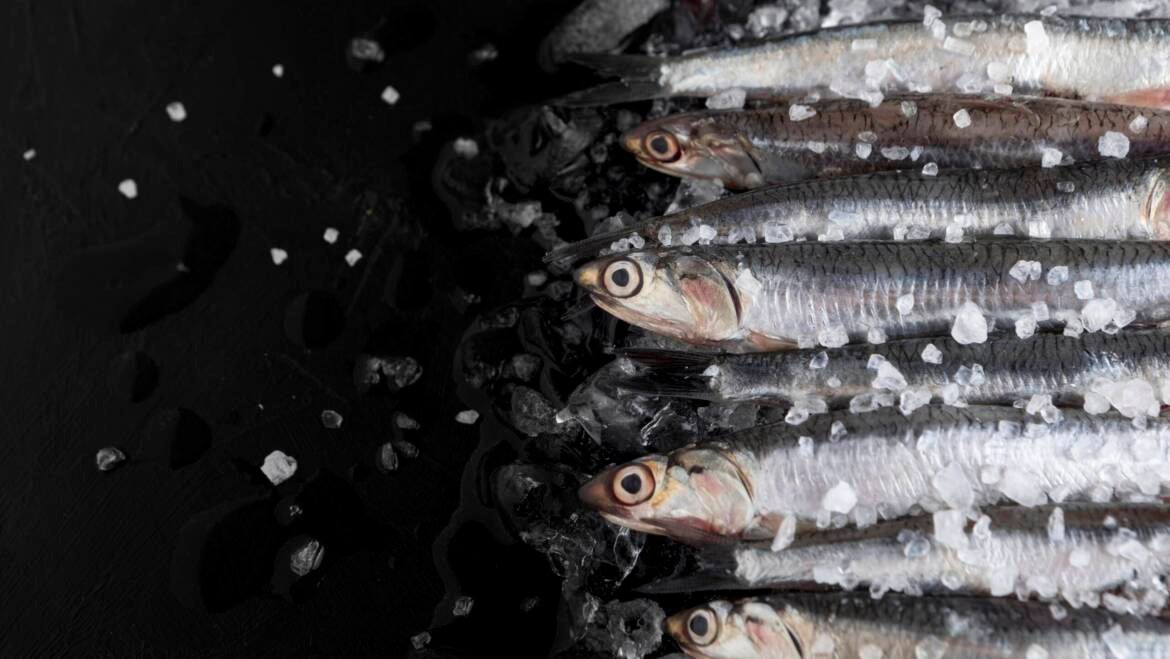 La logistique derrière une livraison rapide et sécurisée de poissons frais