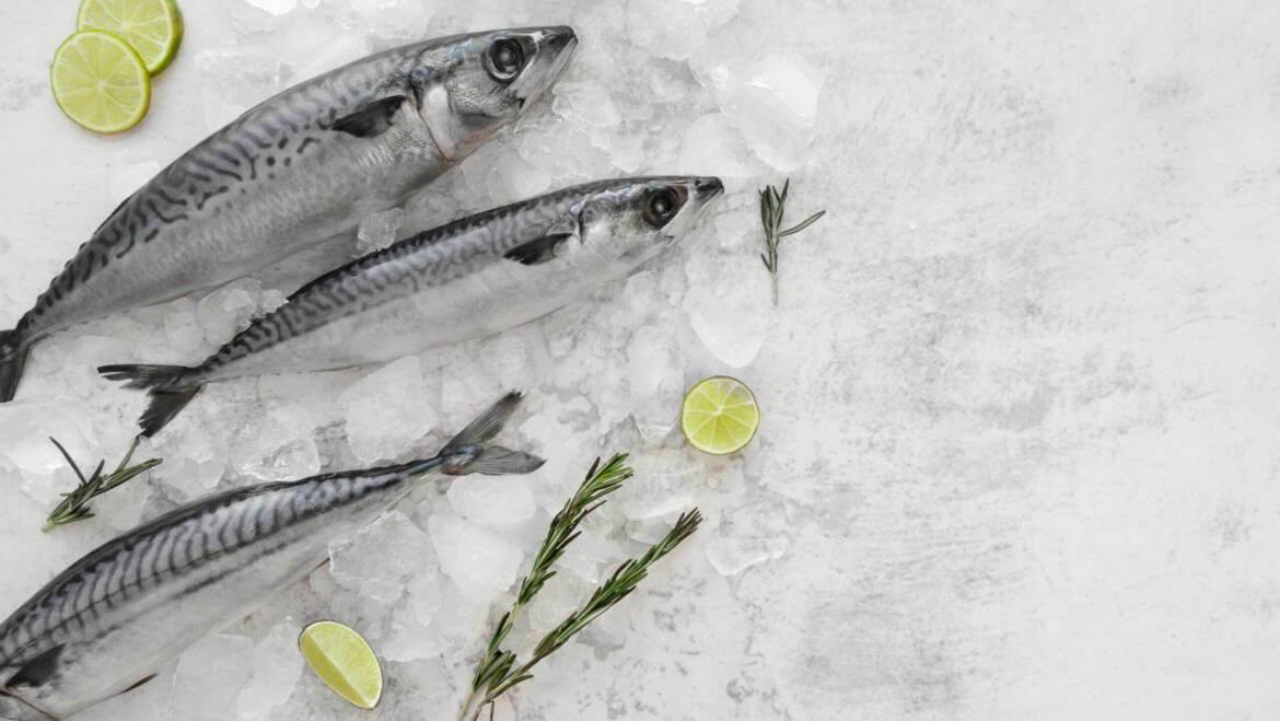 La Qualité du Poisson : Ce qui distingue notre offre sur le marché