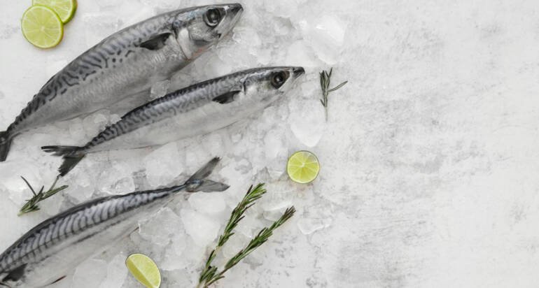 La Qualité du Poisson : Ce qui distingue notre offre sur le marché