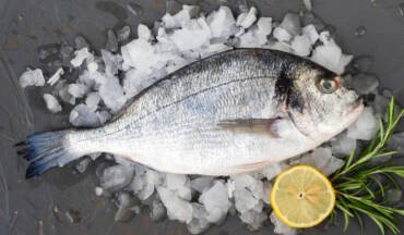 Les Secrets du Poisson Blanc : Bienfaits et Idées de Préparation