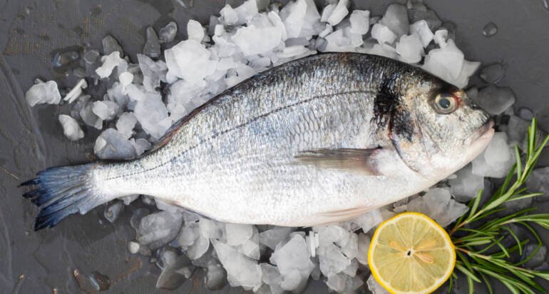 Les Secrets du Poisson Blanc : Bienfaits et Idées de Préparation